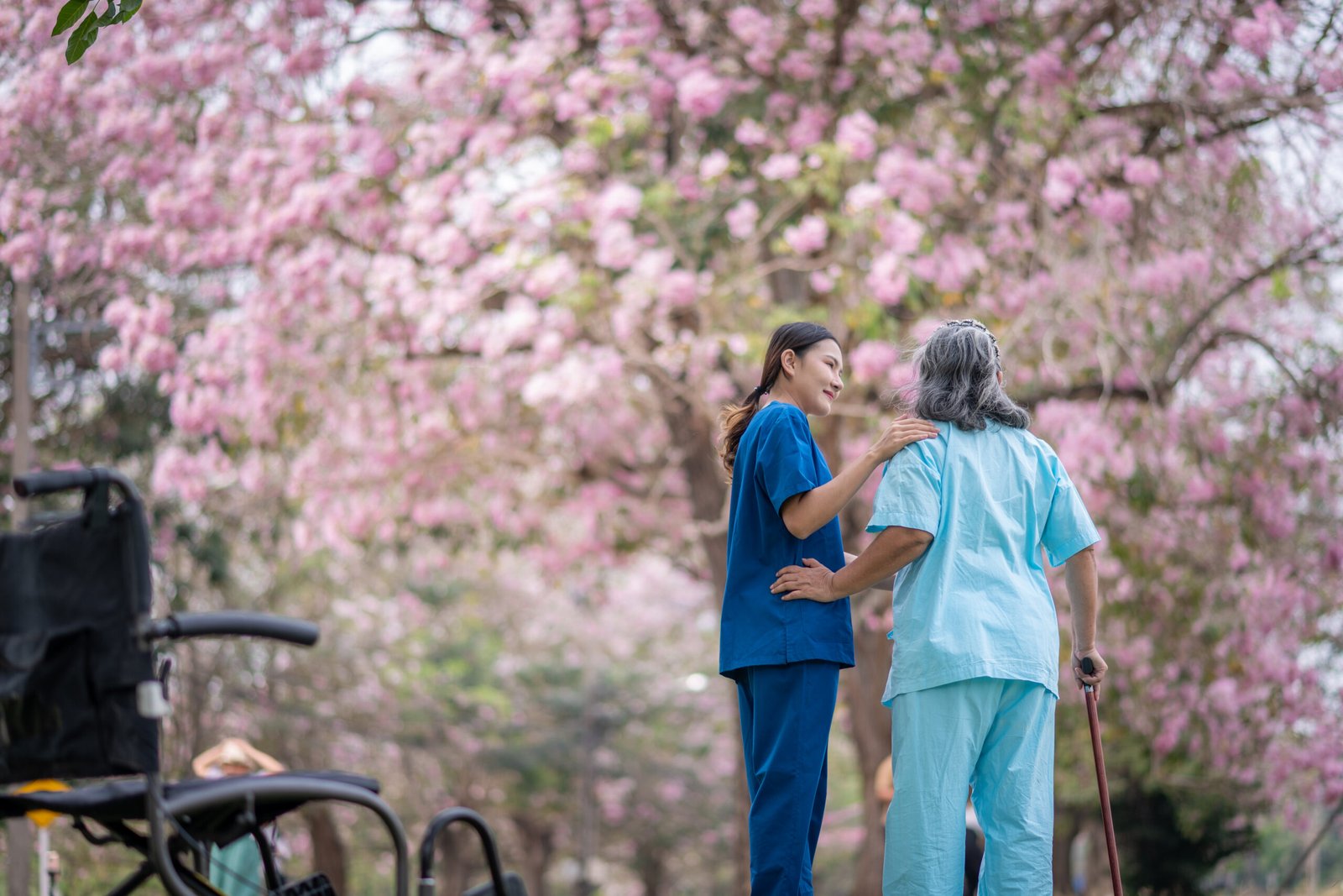 Healthcare or physical therapy nurse is helping elderly appears